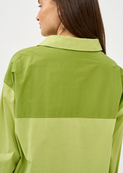 Green two-color button-down shirt
